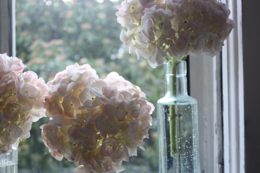 light pink hydrangeas to give a little love in these jeweled bottles 